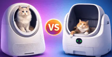 Comparativa visual VS de dos cajas de arena autolimpiables para gatos en estilo 3D